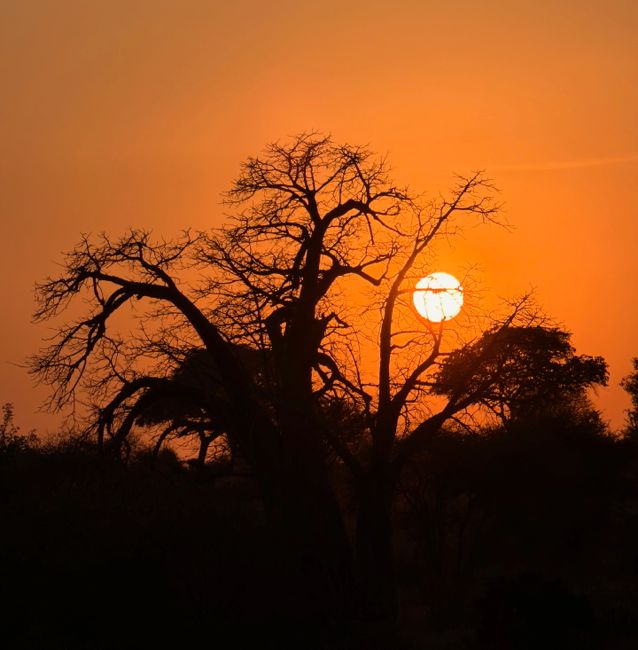 tarangire national park