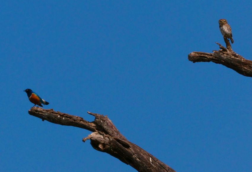 tarangire national park