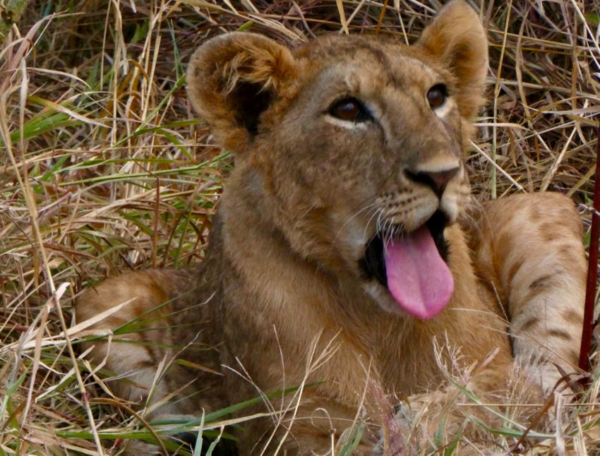 tarangire national park