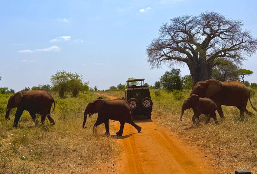 tarangire national park