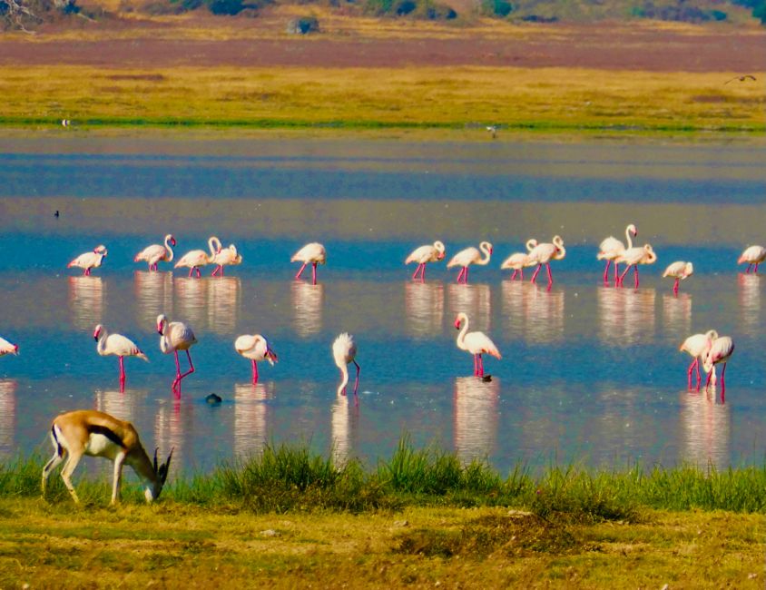 ngorongoro crater
