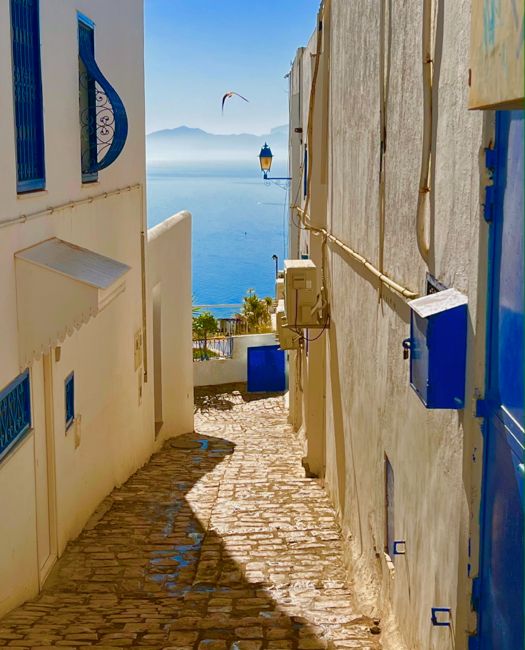 sidi bou said
