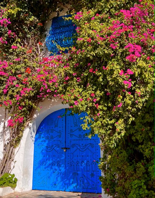 sidi bou said