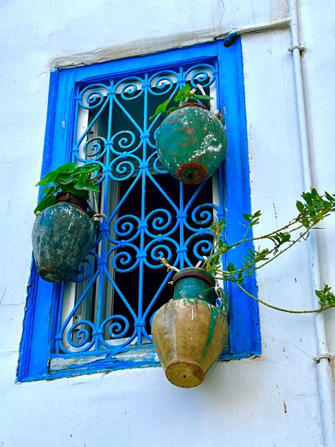 sidi bou said