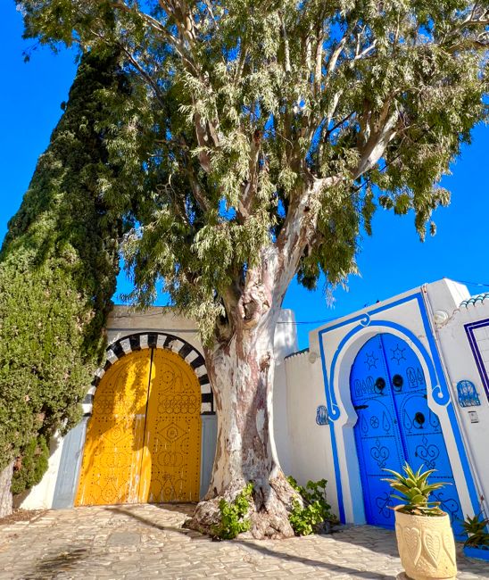 sidi bou said