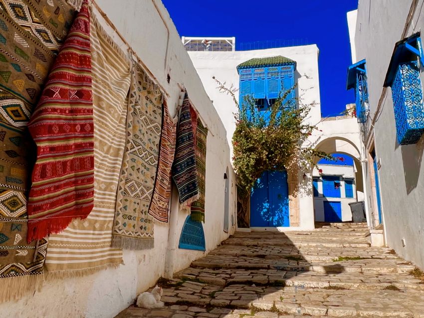 sidi bou said