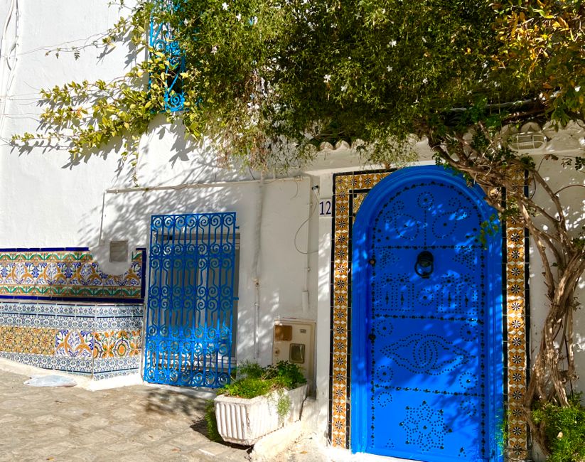 sidi bou said