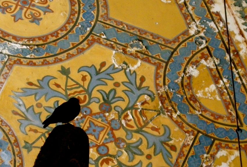 istanbul - bird inside aya sofya