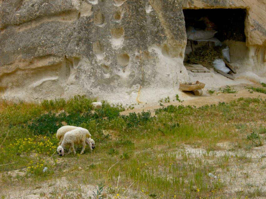 cappadocia - cavusin