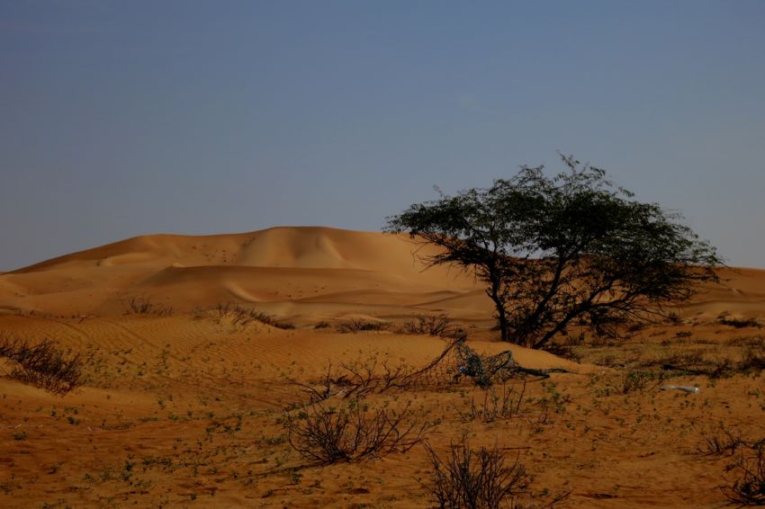 along the abu dhabi - al ain road (2014)
