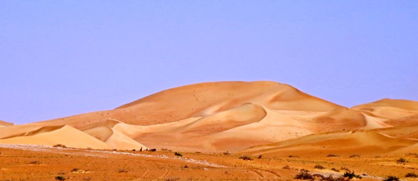 along the abu dhabi - al ain road (2014