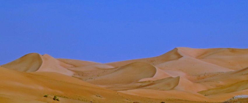 along the abu dhabi - al ain road (2014