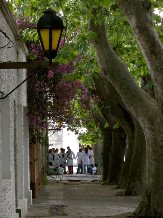 colonia del sacramento