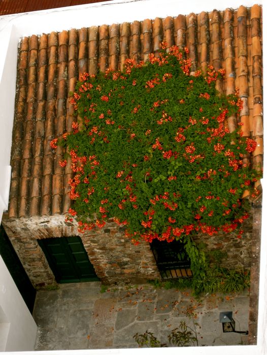 colonia del sacramento