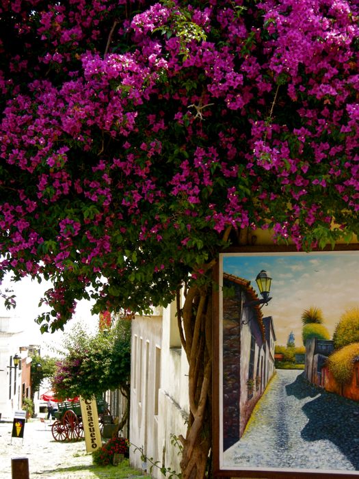 colonia del sacramento